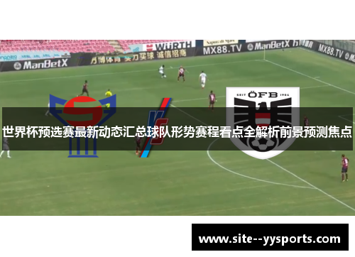 世界杯预选赛最新动态汇总球队形势赛程看点全解析前景预测焦点 世界杯预选赛最新动态汇总球队形势赛程看点全解析前景预测焦点